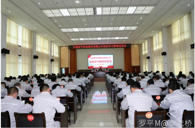 YABO.COM召开党史学习教育动员会